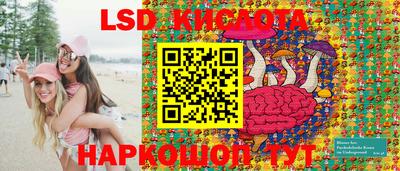 крисы Кунгур