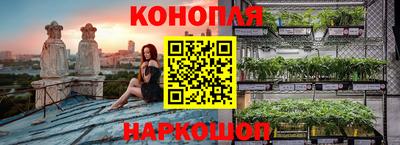 крисы Кунгур