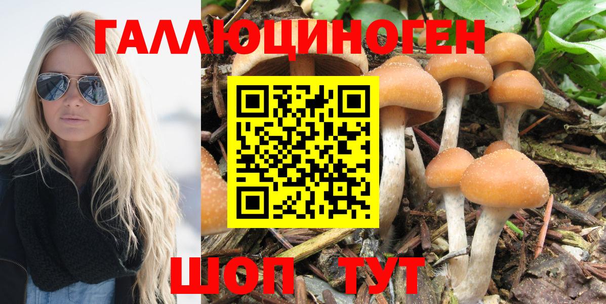 ГАШ Зеленогорск