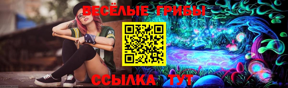 Зеленогорск  Псилоцибиновые грибы ЛСД  Вход с VPN 